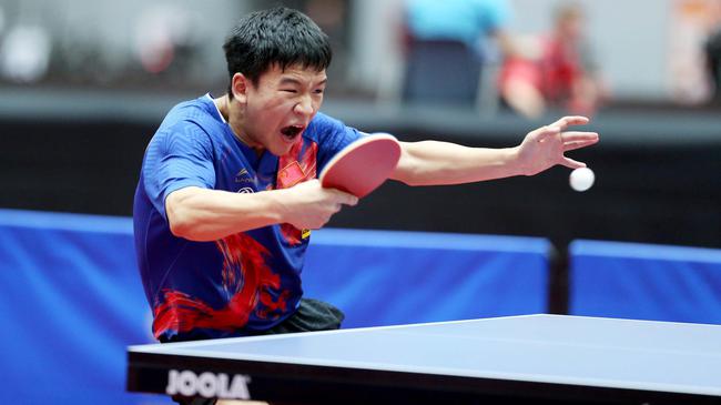 与本地球员 与本地球员